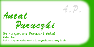 antal puruczki business card